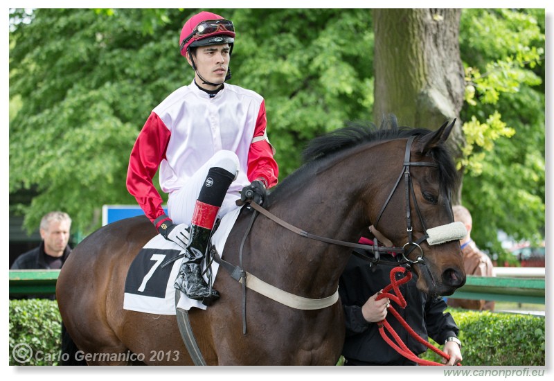 Bratislava - 12. m�j 2013 