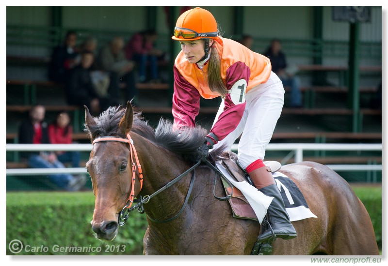 Bratislava - 12. m�j 2013 