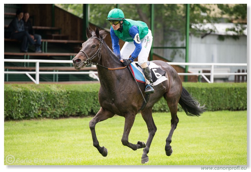 Bratislava - 12. m�j 2013 