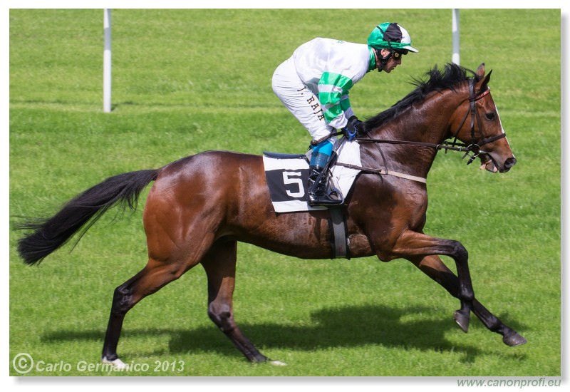 Bratislava - 19. mj 2013 