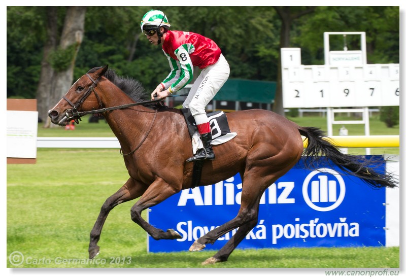 Bratislava - 02. j�n 2013 