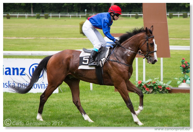 Bratislava - 02. j�n 2013 