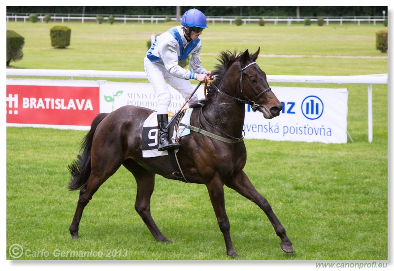 Bratislava - 02. j�n 2013 