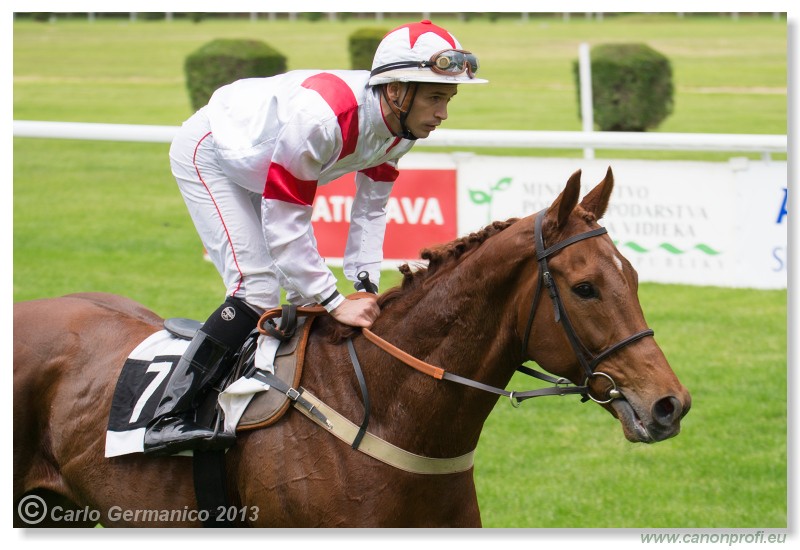 Bratislava - 02. j�n 2013 