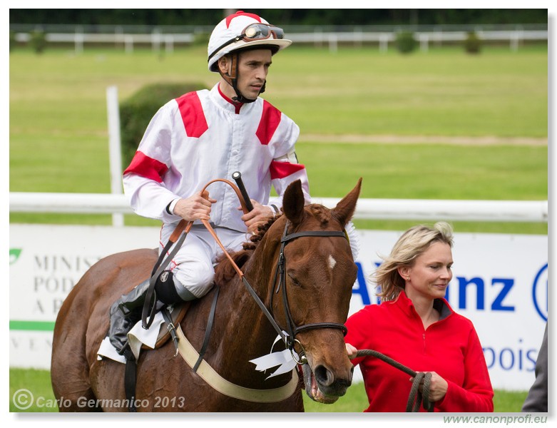 Bratislava - 02. j�n 2013 