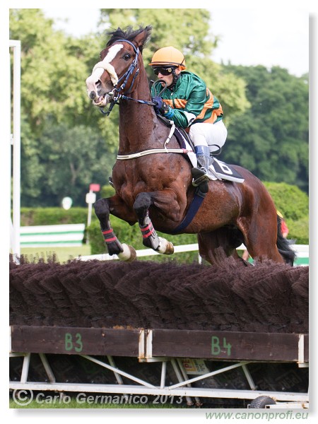 Bratislava - 09. j�n 2013 