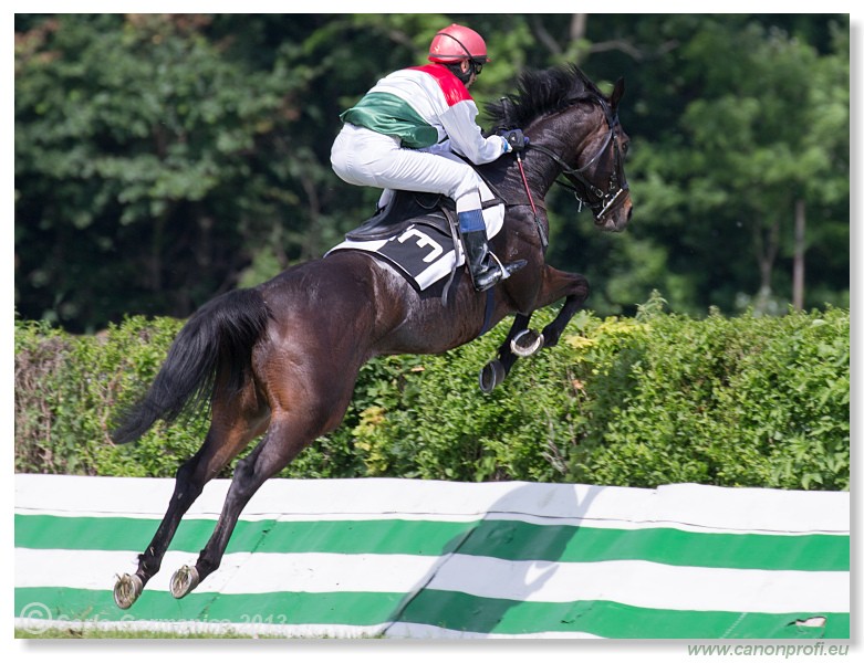 Bratislava - 09. j�n 2013 