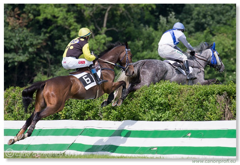 Bratislava - 09. j�n 2013 