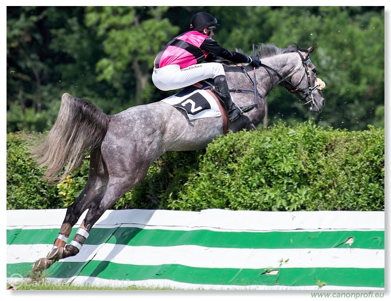 Bratislava - 09. j�n 2013 