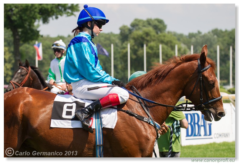 Bratislava - 22. j�n 2013 