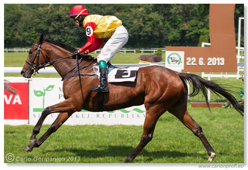 Bratislava - 22. j�n 2013 