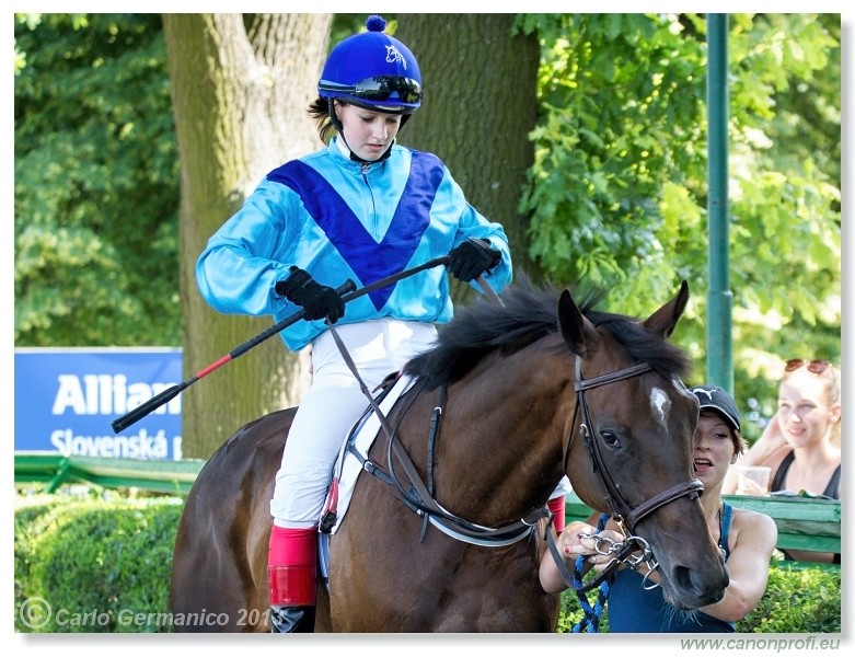 Bratislava - 22. j�n 2013 