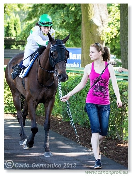 Bratislava - 22. j�n 2013 