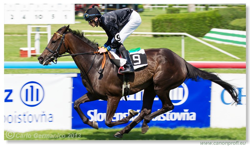 Bratislava - 22. j�n 2013 