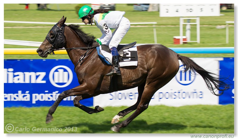 Bratislava - 22. j�n 2013 