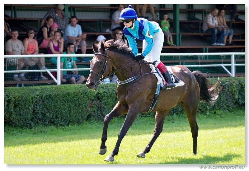 Bratislava - 22. j�n 2013 