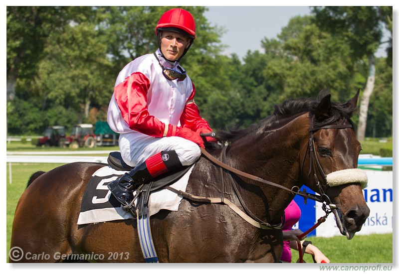 Bratislava - 22. j�n 2013 