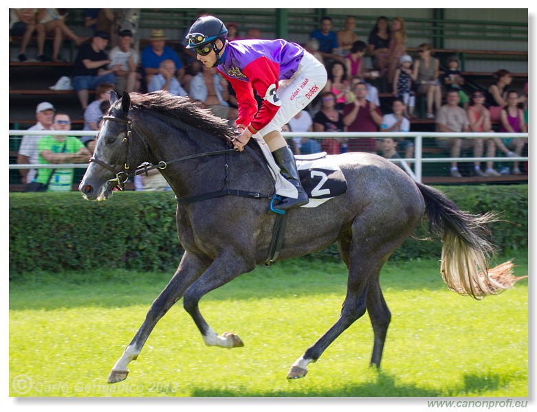 Bratislava - 22. j�n 2013 