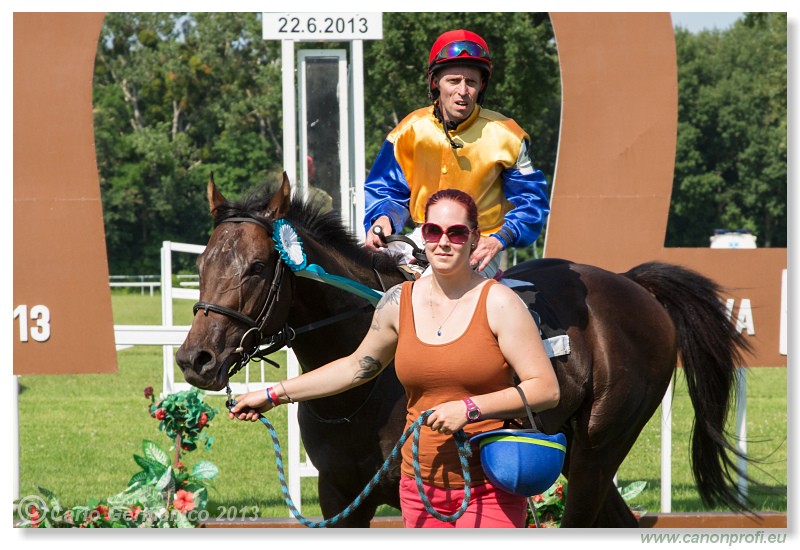 Bratislava - 22. j�n 2013 