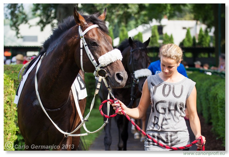 Bratislava - 22. j�n 2013 