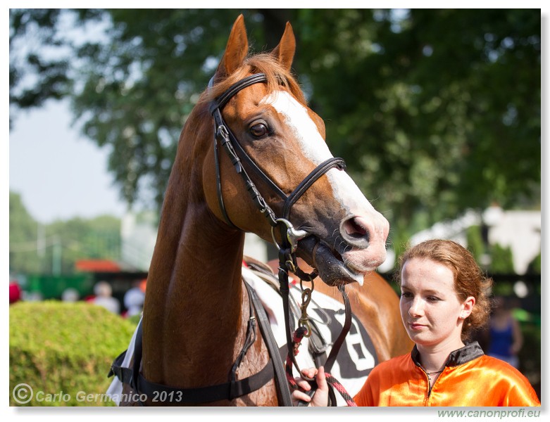 Bratislava - 22. j�n 2013 