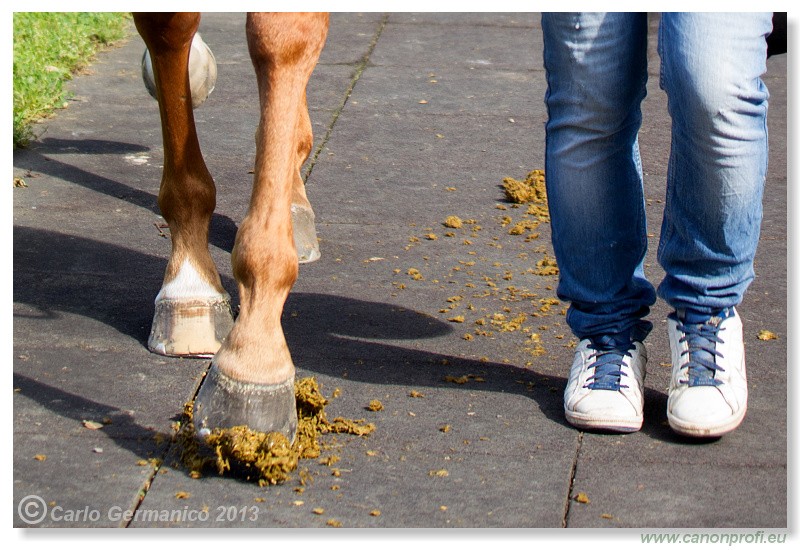 Bratislava - 22. j�n 2013 