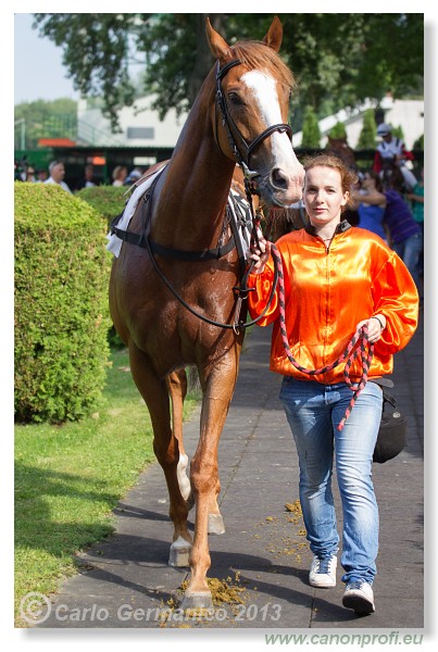 Bratislava - 22. j�n 2013 