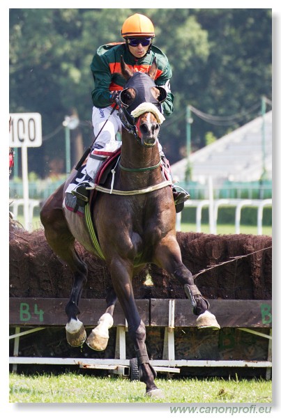 Bratislava - 06. j�l 2013 