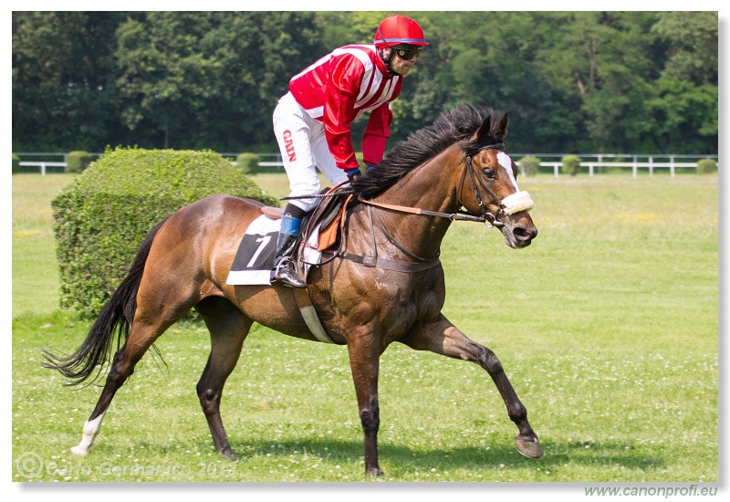 Bratislava - 06. j�l 2013 