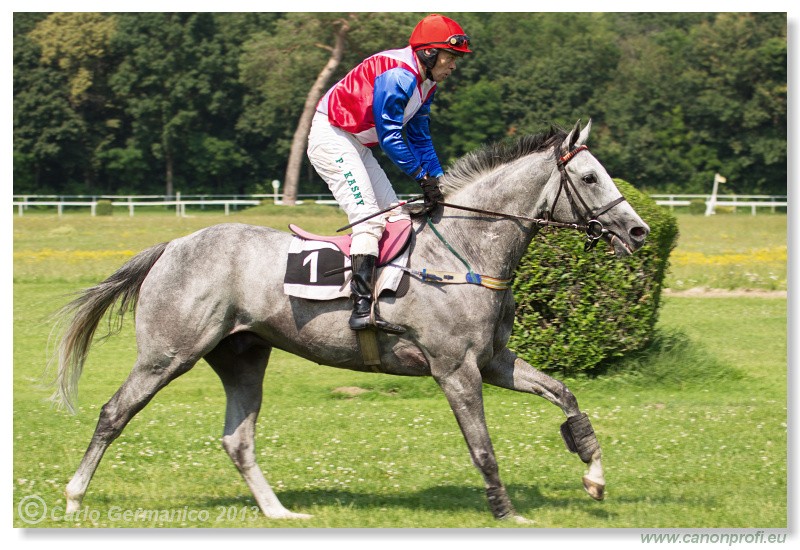 Bratislava - 06. j�l 2013 