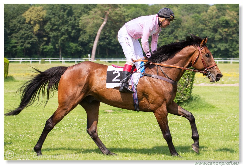 Bratislava - 06. j�l 2013 