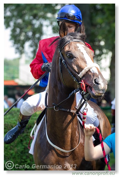 Bratislava - 06. j�l 2013 