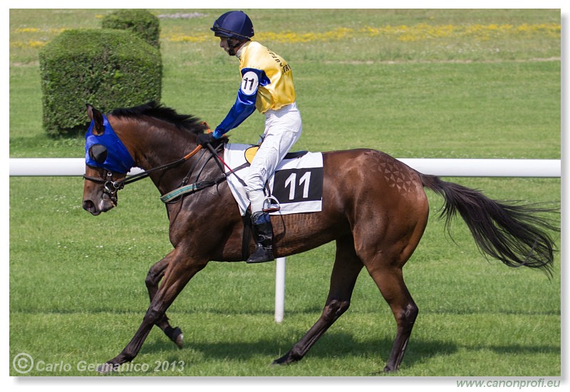 Bratislava - 06. j�l 2013 