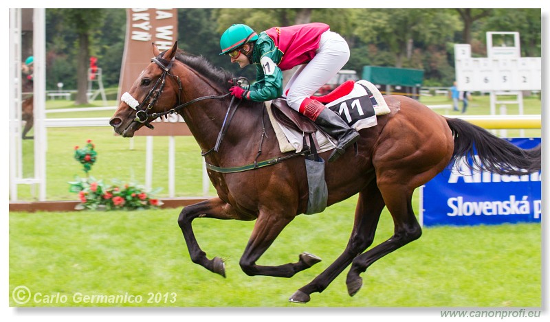 Bratislava - 25. august 2013 