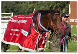 Slovensk St. Leger 