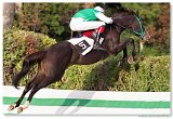 Vek starohjska steeplechase 