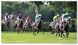 Vek starohjska steeplechase 