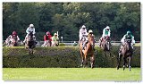 Vek starohjska steeplechase 