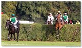 Vek starohjska steeplechase 