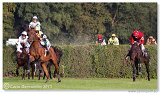 Vek starohjska steeplechase 