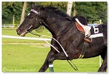 Vek starohjska steeplechase 