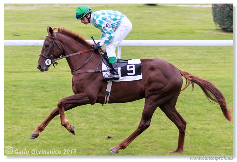 Bratislava - 06. okt�ber 2013 