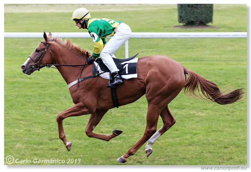 Bratislava - 06. okt�ber 2013 