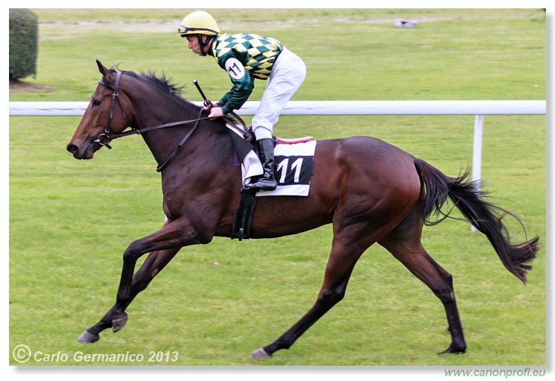 Bratislava - 06. okt�ber 2013 