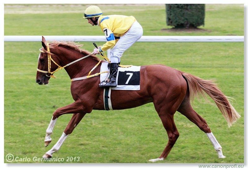 Bratislava - 06. okt�ber 2013 