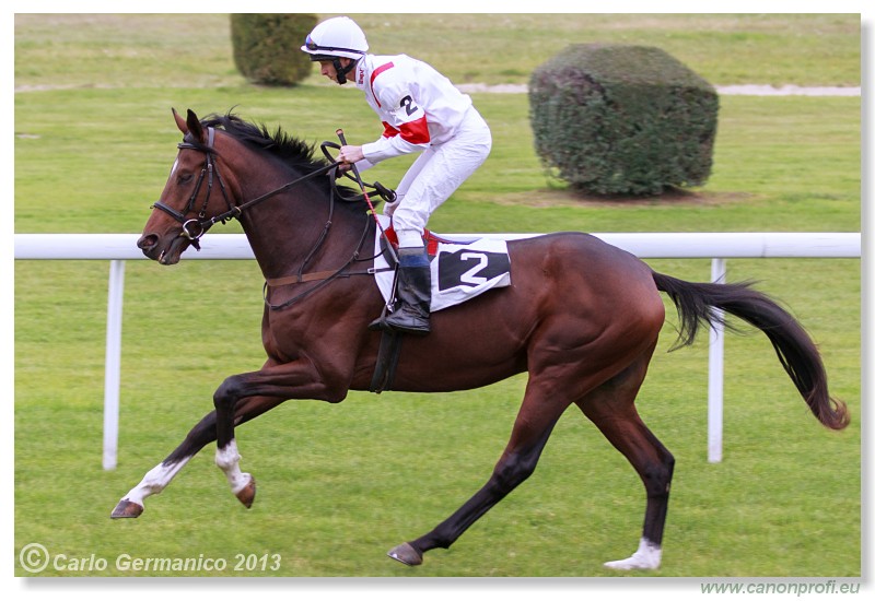 Bratislava - 06. okt�ber 2013 