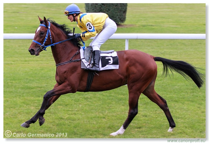 Bratislava - 06. okt�ber 2013 