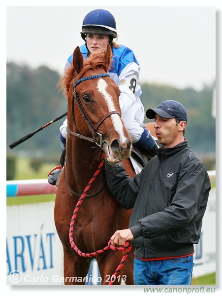 Bratislava - 06. okt�ber 2013 