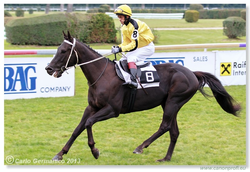 Bratislava - 06. okt�ber 2013 