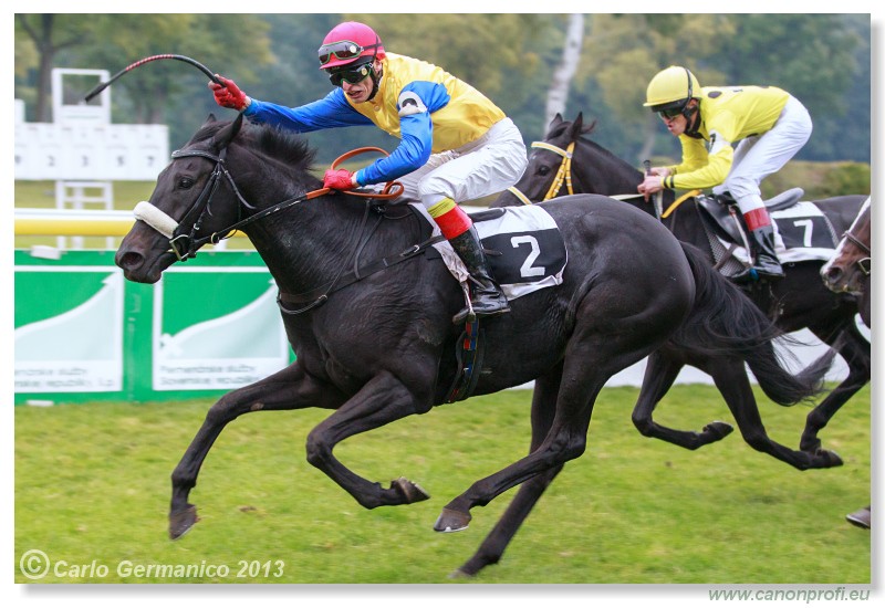 Bratislava - 06. okt�ber 2013 